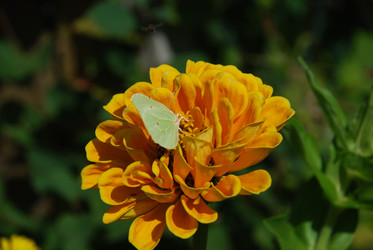 Similar image 21608799