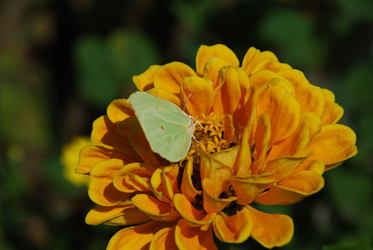 Similar image 21608800