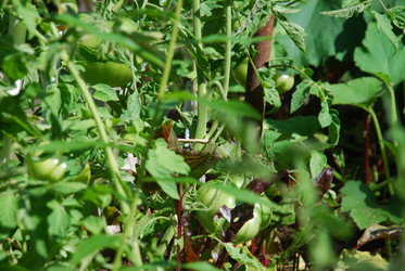 Similar image 21608803