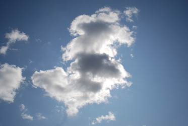 Similar image 21608805