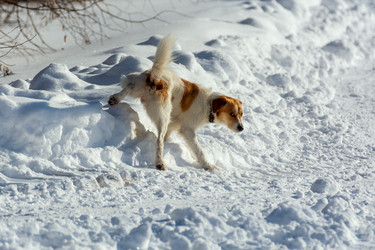 Similar image 21608695