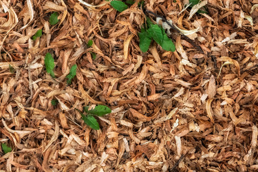 Similar image 21608698