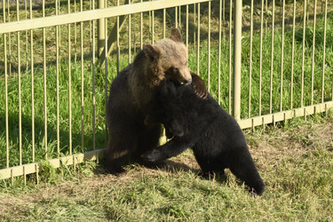 Similar image 21564141