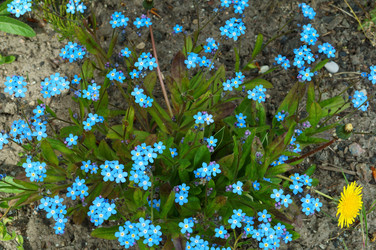 Similar image 21563276