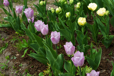 Similar image 21563281