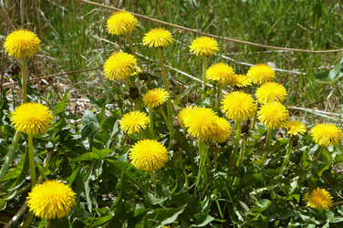 Similar image 21563285