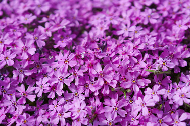 Similar image 21563286