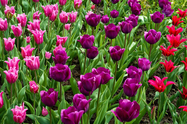 Similar image 21563287