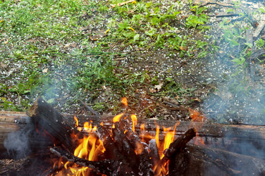 Similar image 21563290