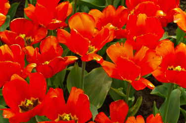 Similar image 21563291