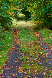 Similar image 21563293