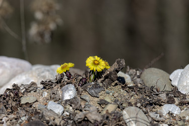 Similar image 21609815