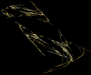 Similar image 21563504