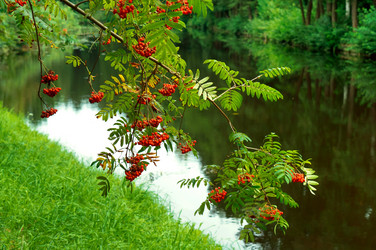 Similar image 21609085