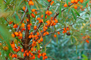 Similar image 21609086