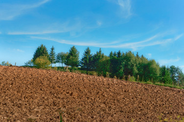 Similar image 21617444