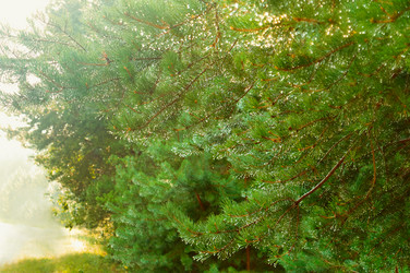 Similar image 21609094