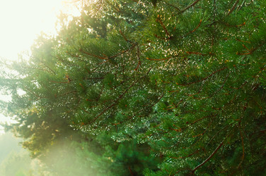 Similar image 21617448