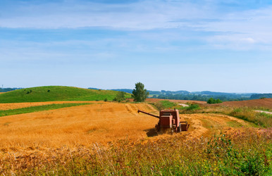 Similar image 21617449