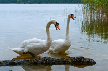 Similar image 21608476