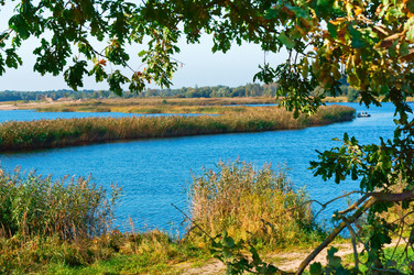 Similar image 21609098