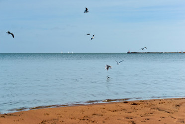 Similar image 21608480