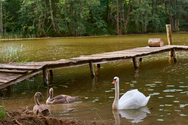 Similar image 21617457