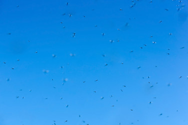 Similar image 21563352