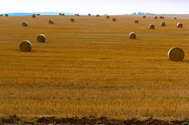 Similar image 21609111