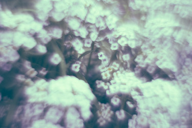 Similar image 21608811