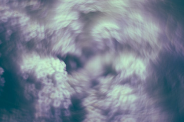 Similar image 21608813