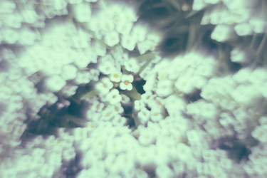 Similar image 21608814