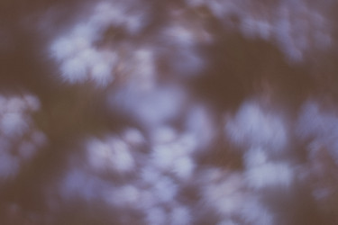 Similar image 21608817