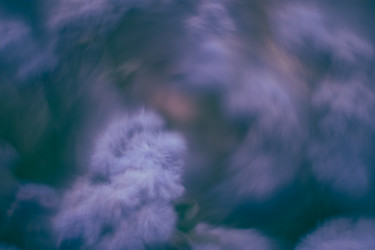 Similar image 21608819