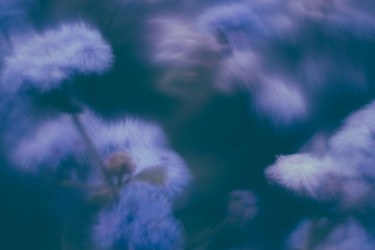 Similar image 21608820