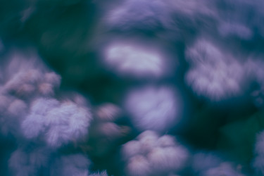 Similar image 21608822