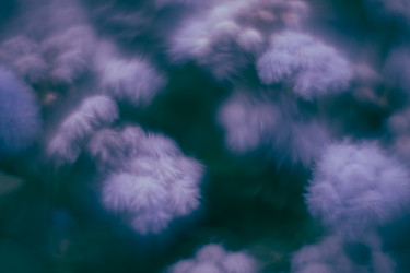 Similar image 21608823