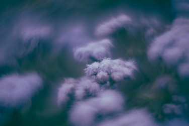 Similar image 21608824