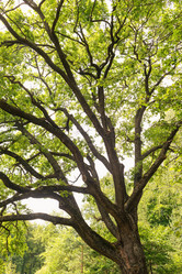 Similar image 21563401