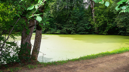 Similar image 21563403