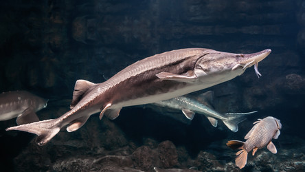 Similar image 21563607