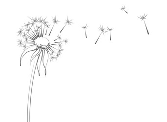 Similar image 21608481