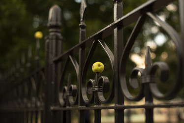 Similar image 21563357