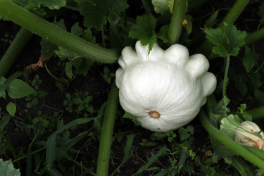 Similar image 21563362