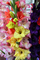 Similar image 21563365