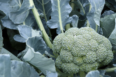 Similar image 21563366