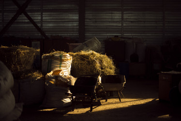 Similar image 21563367