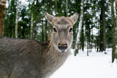 Similar image 21563369