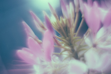 Similar image 21608889