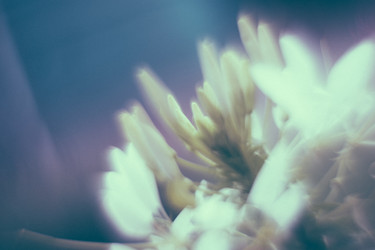 Similar image 21608890